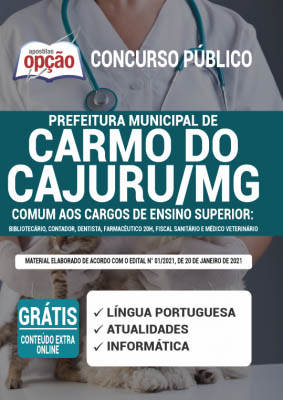 apostila-prefeitura-de-carmo-do-cajuru-ensino-superior-2021